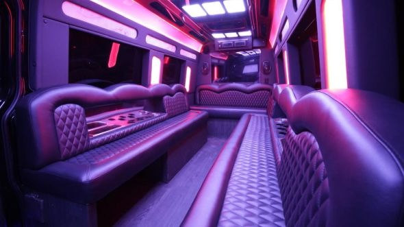 brea sprinter limo rental rental
